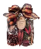 Aromatique Cinnamon Cider 11 Oz Decorative Fragrance Bag