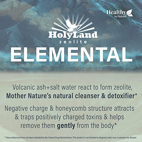 HolyLand Zeolite Cleanse Zeolite Detox Powder (400 Gram Value Size) Natural, Activated