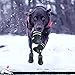 Fantastic Zone Waterproof Dog Shoes Non-Slip Dog Boots for Various Size 4pcs