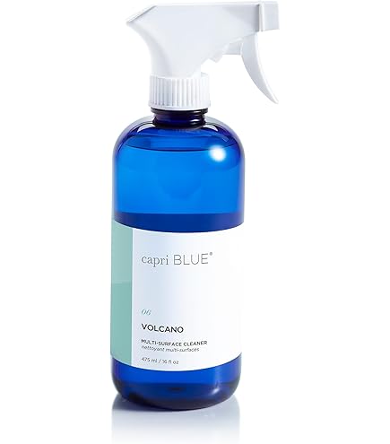 Amazon.com: Capri Blue Volcano Laundry Detergent Liquid - This