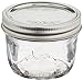 Jarden Kerr Wide Mouth Half-Pint Glass Mason Jars 8-Ounces with Lids and Bands 12-Count per Case (1-Case)
