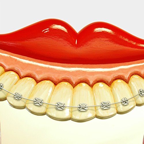 Orthodontist's denture braces mouth mirror wall art with a big smile