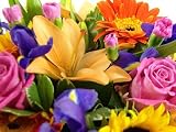 Clare Florist Fantastic Summer Memories Fresh Flowers Bouquet Lilies Roses view 3