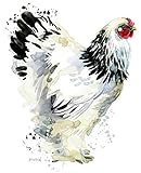 Journal: Brahma Hen (Chicken Collection) by Dreamflight Publications