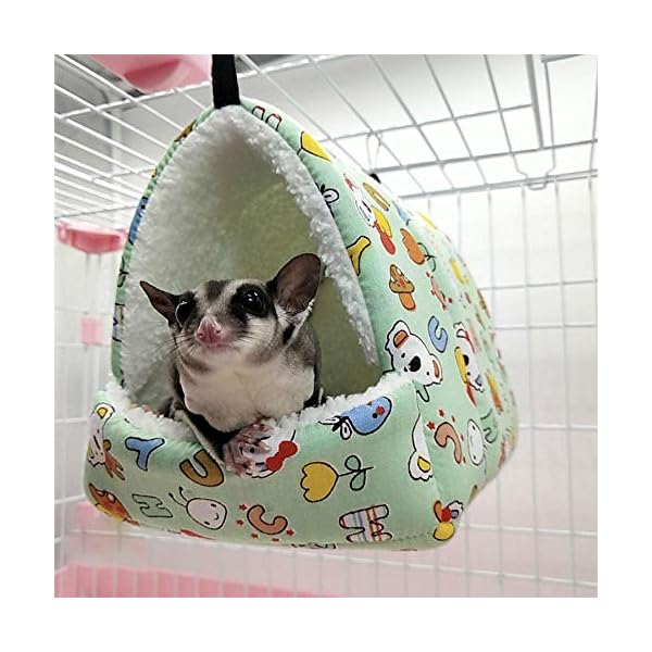 LiféUP Amaca Invernale per Animali Guinea Guinea, Maiale Coniglio Coniglio Riccio Zucchero aliante Scoiattolo Criceto… LifeUp LiféUP Amaca Invernale per Animali Guinea Guinea, Maiale Coniglio Coniglio Riccio Zucchero aliante Scoiattolo Criceto…