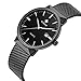WWOOR Men's Analog Quartz Watch Waterproof Sport Steel Mesh Strap Thin Wristwatches Auto Date Black