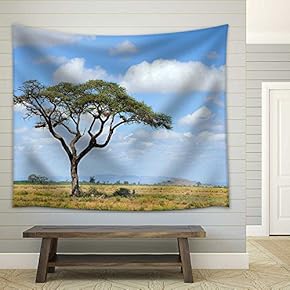 Milky Way Galaxy - Fabric Wall Tapestry Home Decor - 51x60 inches