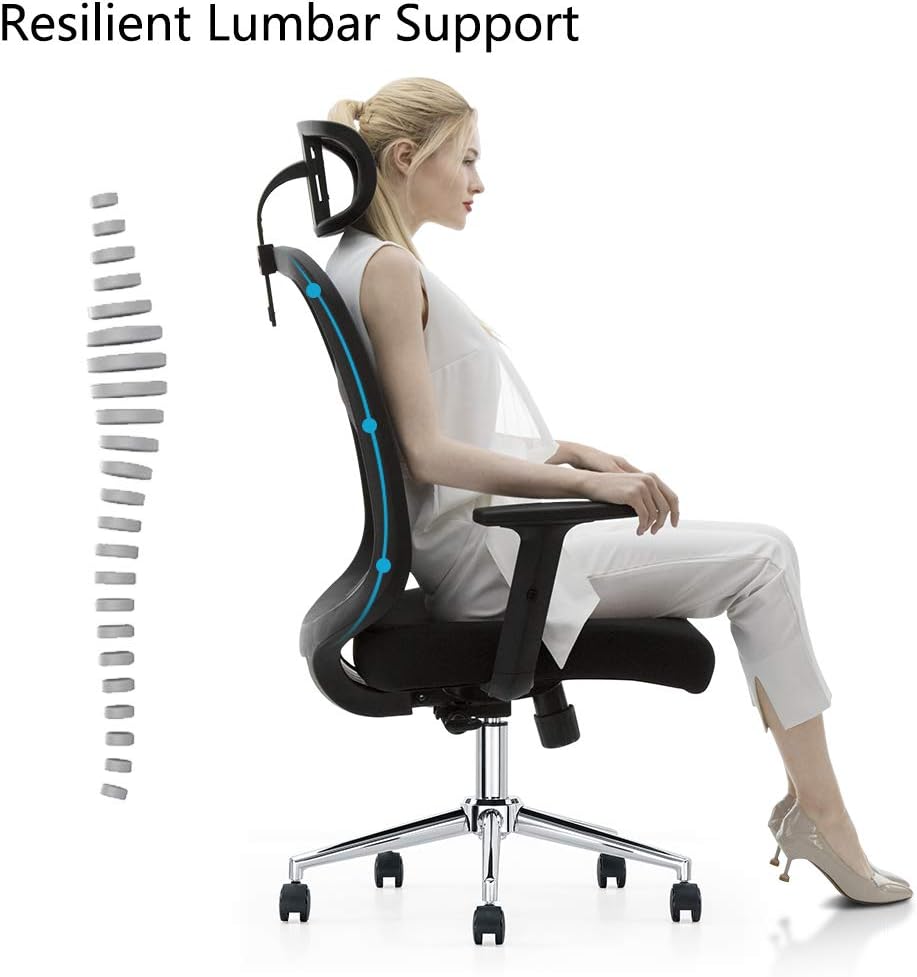 Cedric Office Chair, Breathable Mesh Computer Chair with Ergonomic Lumbar Support, Black Swivel Desk Chair with Adjustable Armrest, Headrest, Soft Cushion Seat: Furniture & Decor