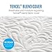 LUCID 16 Inch Plush Gel Memory Foam and Latex Four-Layer-Infused with Bamboo Charcoal Mattress, Twin XL