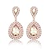 iWenSheng Women Rose Gold Plated Crystal Double Teardrop Bridal Drop Earrings