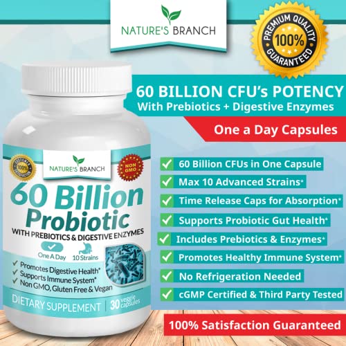𝗛𝗜𝗚𝗛 𝗣𝗢𝗧𝗘𝗡𝗖𝗬 60 Billion Probiotics and Prebiotics for Women and Men