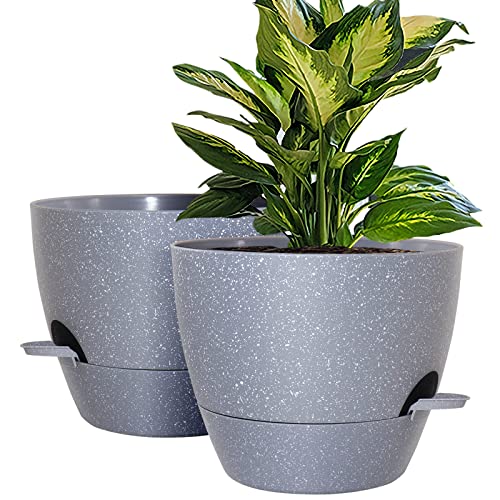 Self Watering Planters
