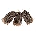 BeautyGrace Pack of 3 Marlybob Crochet Braids Hair Ombre Afro Kinky Curly Braiding Hair Extensions for Girl Women(8
