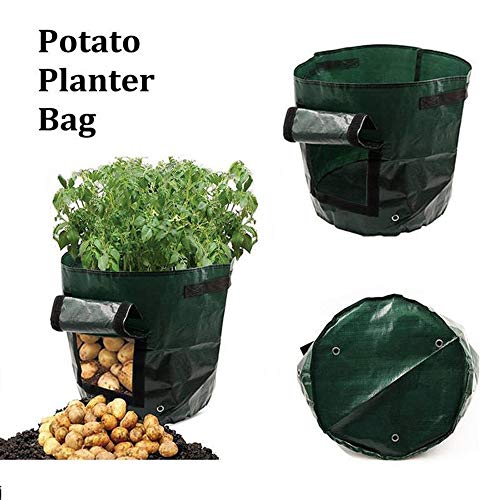 Mumu Sugar Potato Grow Bags with Garden Gloves,2 Pack 10 Gallon Vegetables Planter Bags with Access Flap, Raised Garden Bed Heavy Duty Suitable for Planting Vegetables, Taro, Radish, Carrots, Onions