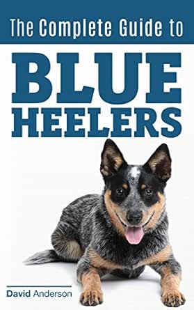 best australian cattle dog breeders