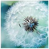 Dandelion Packs 5D DIY Diamond Painting Paint by Numbers Kits for Adult ，Full Drill Diamond Embroidery Dotz Kit Home Wall Decor (13.7X13.7inch)