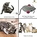 2 Mice toys for cats --- Rattling sound thrills, promotes agility, coordination - Boosts natural hunting, pouncing instinct - Interactive, Durable, Safe to Chew - Fun for Hours