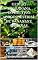 Livro GESTÃO .URABANANA. DO CULTIVO AGROINDUSTRIAL DE BANANAS E BANANAS. : Metodologías de manejo, instrumentos e estrategias para programação e planejamento agroindustrial de banana e banana.
