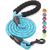 BAAPET 5 FT Strong Dog Leash with Comfortable Padded Handle and Highly Reflective Threads for Medium and Large Dogs (Blue)