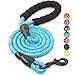 BAAPET 5 FT Strong Dog Leash with Comfortable Padded Handle and Highly Reflective Threads for Medium and Large Dogs (Blue) primary