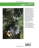 Image de Journey Through the Spree Forest (Journey Through series)