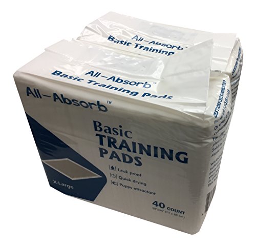 All-Absorb Basic Training Pads, 28" x 34", 80 Count Value Pack