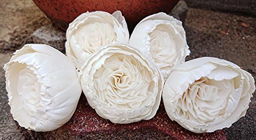 45 English Rose Juliet Rose White Sola Wood Diffuser Flowers 3 cm Dia.for Crafts