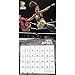 WWE Wall Calendar (2019)