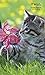 Kittens 2018 Pocket Planner