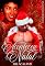 Livro ACONTECEU NO MEU NATAL (Spin-Off de Delicius Erotics)
