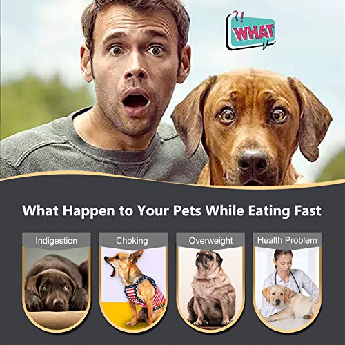 KASBAH Slow Feeder Dog Bowl, Anti-Gulping Dog Food Bowls Non-Toxic Eco Friendly Maze Dog Bowl for Small/Medium Dogs, Blue