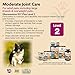 NaturVet – Glucosamine DS Plus - Level 2 Moderate Care – Supports Healthy Hip & Joint Function – Enhanced with Glucosamine, MSM & Chondroitin – for Dogs & Cats–70 Soft Chews