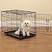 Proselect Easy Dog Crates for Dogs and Pets - Black; Extra Large