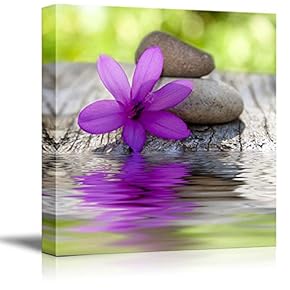 Natural Flower with Stones and Water Spa Zen...