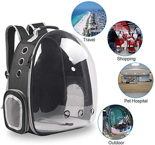 bunny backpack carrier