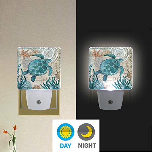 Vdsrup Vintage Ocean Turtle Night Light Set of 2 Sea Starfish World Map