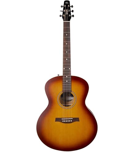 Seagull Entourage Rustic Mini Jumbo Guitar : Amazon.ca: Musical