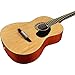 Rogue Starter Acoustic Guitar Matte Natural