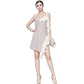 ROYAL SMEELA Party Dresses for Women Dresses for Women Party Sexy Cocktail Dress Mini Sequin Dress