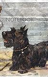 Notebook: Old Buddies at Play Dog Best Friends Terrier Beach Friends by Wild Pages Press