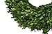 Flora Decor Preserved Garden Boxwood Wreath 22