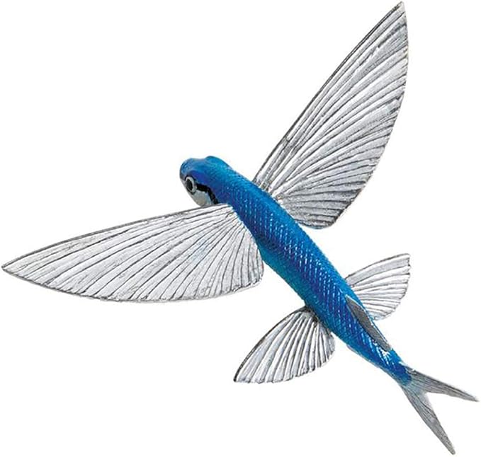 flying fish toy amazon