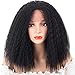 Kinky Curly Wigs Lace Front Synthetic Afro Wig Heat Resistant Fiber Flexible Yaki Texture Realistic Looking Wig for Black Women Natural Black 14 Inches
