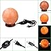 6inch 8-9Lbs Himalayan Salt Lamp Globe Hand Carved from Crystal Rock Salt Nightlight on Wood Base with Dimmer Control, Light Bulb by Oumai