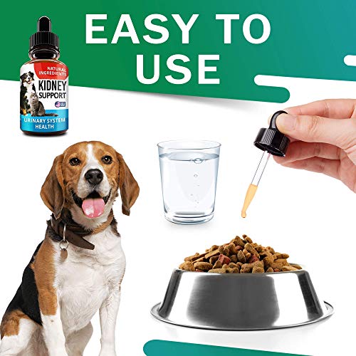 hewbo-UTI-Treatment-for-Cats-and-Dogs-Kidney-Support-for-Pets-Bladder-Urinary-Support-Cranberry-Echinacea-Pumpkin-Feline-Renal-Support-Supplemen-2oz-Made-in-USA