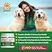 100 Paws Cranberry Supplement for Dog -Cranberry Pills (Soft Chews) for Bladder,Urinary Tract UTI & Kidney Healt-Dog Treats Food w/Hemp Oil & D-Mannose -Incontinence Relief Tablets-120 Bites
