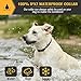 Petrainer Dog Bark Collar PET856 Waterproof No Bark Collar for Dogs with Beep Vibration and No Harm Dog Shock Collar Smart Detection Anti Bark Collars for Small Medium Large Dogs