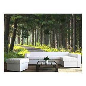 Green Forest - Removable Wall Mural | Self-Adhesive Large Wallpaper - 66x96 inches