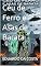 Livro Céu de Ferro e Asas de Barata (o ciclo do besouro rei Livro 6)