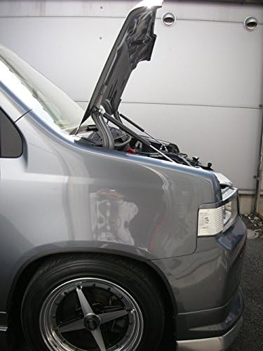 Amazon モビリオ スパイク Gk1 ボンネットダンパー ブラックカーボン フードダンパー 車 バイク